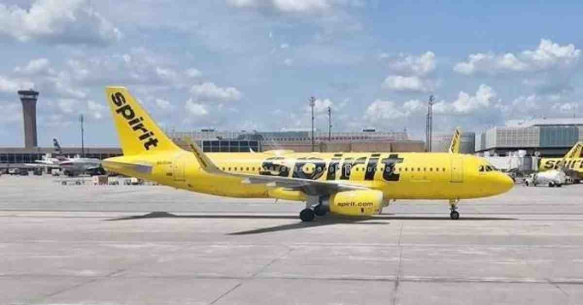 Spirit Airlines: Flight Status, Customer Service, Check-In, Fleet, Stock and Cheap Flights Guide